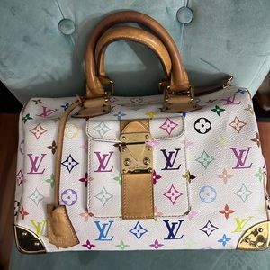 Louis Vuitton Multicolor speedy